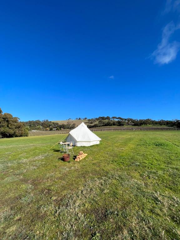 亚拉腊Cosy Glamping Tent 4的田野中间的白色帐篷