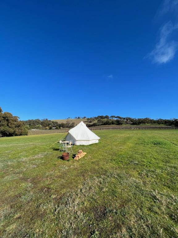 亚拉腊Cosy Glamping Tent 5的草场上的白色帐篷