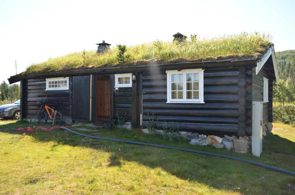 MysusæterMaurtua - cabin in lovely surroundings的小木屋的顶部设有草屋顶
