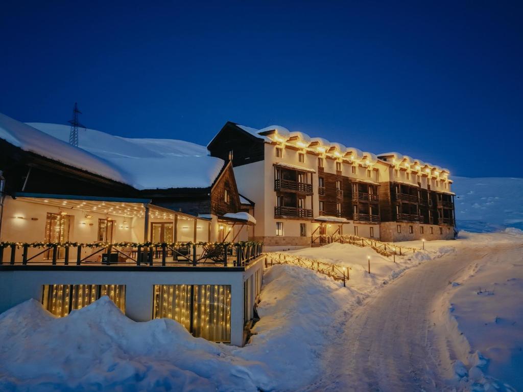 古多里Alpina Hotel的夜间雪地中的度假村