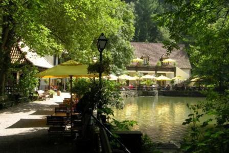 霍恩-巴特迈恩贝格西尔本穆勒森林酒店的一个带池塘、桌子和遮阳伞的公园