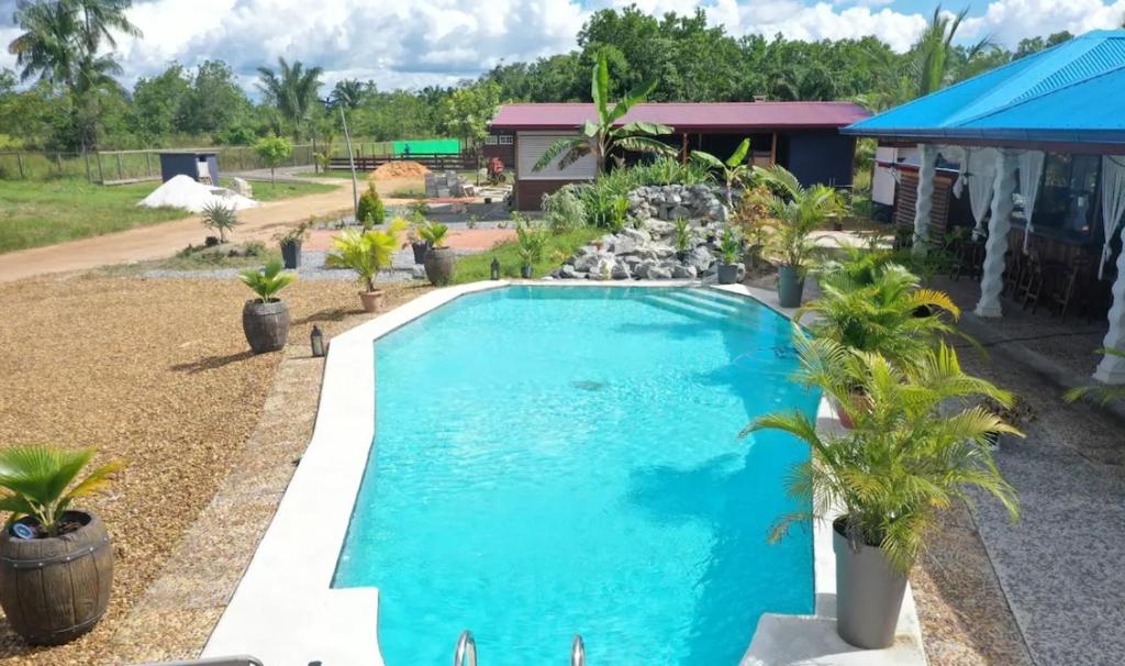 Carrefour de ManaEco Resort的棕榈树庭院内的游泳池