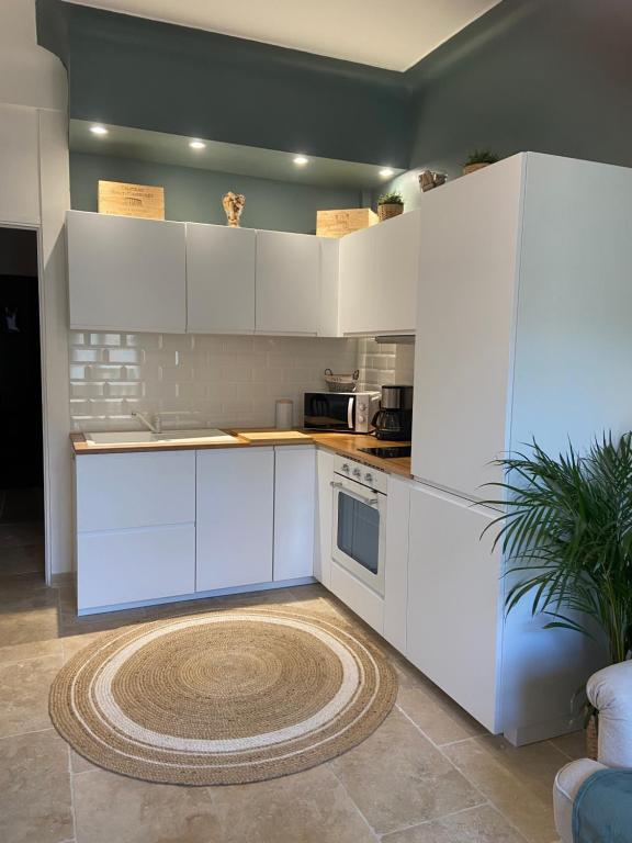 尼斯Bel appartement de 40m² à louer的厨房配有白色橱柜和地毯。