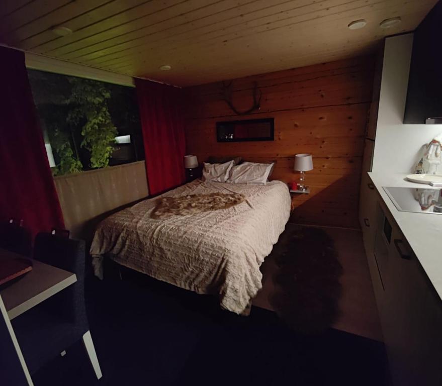 罗瓦涅米Lapland Aurora cabin的一间小房间的卧室,配有一张床铺