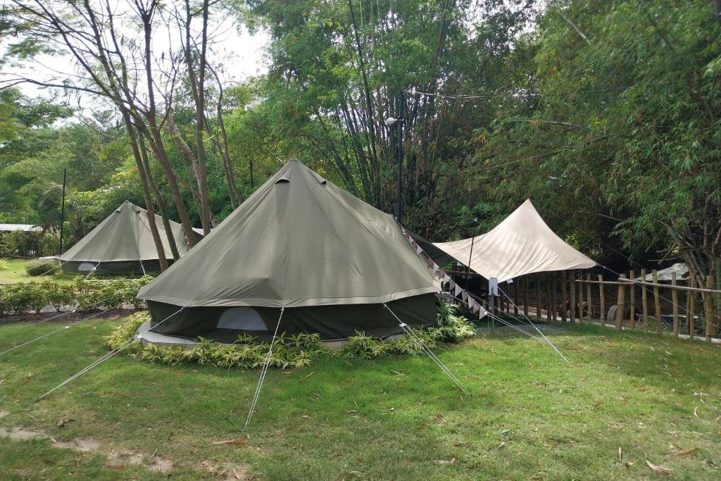 Ban Tha SaiIt my life cafe x camp的一群帐篷坐在草地上