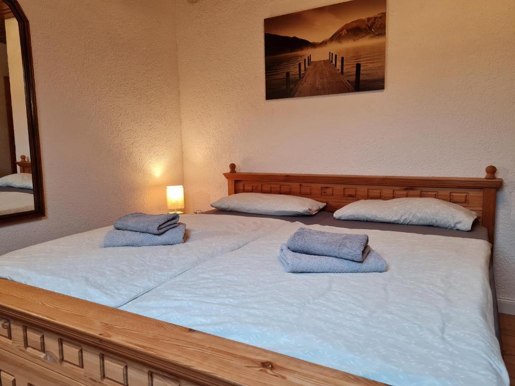 加格瑙Landhaus Bad Rotenfels - Zion的一间卧室配有两张带蓝色枕头的床。