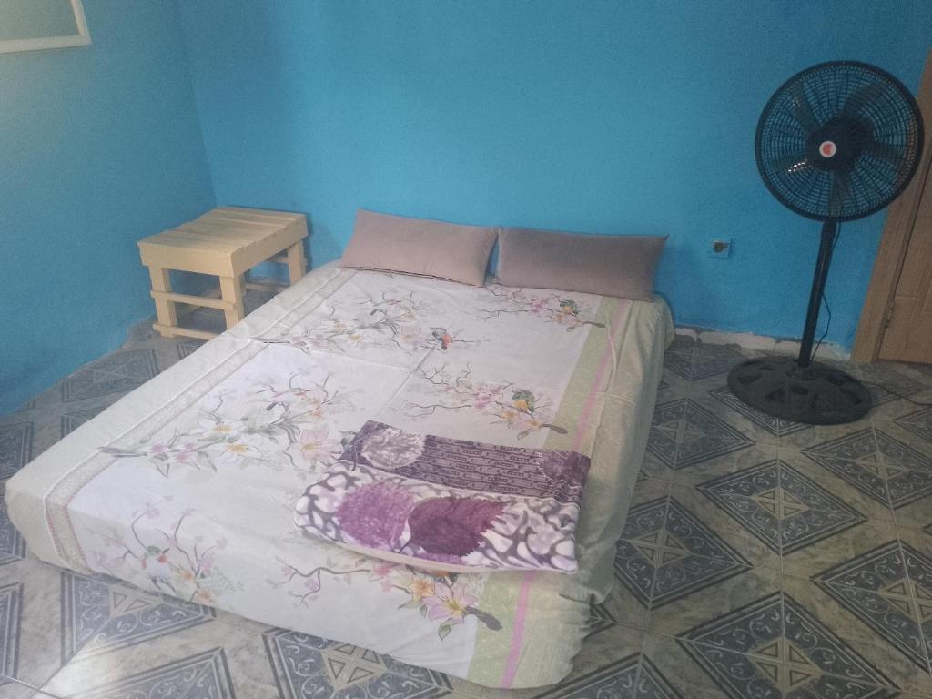 努瓦克肖特Dar Daoudi的蓝色客房的一张床位,配有风扇