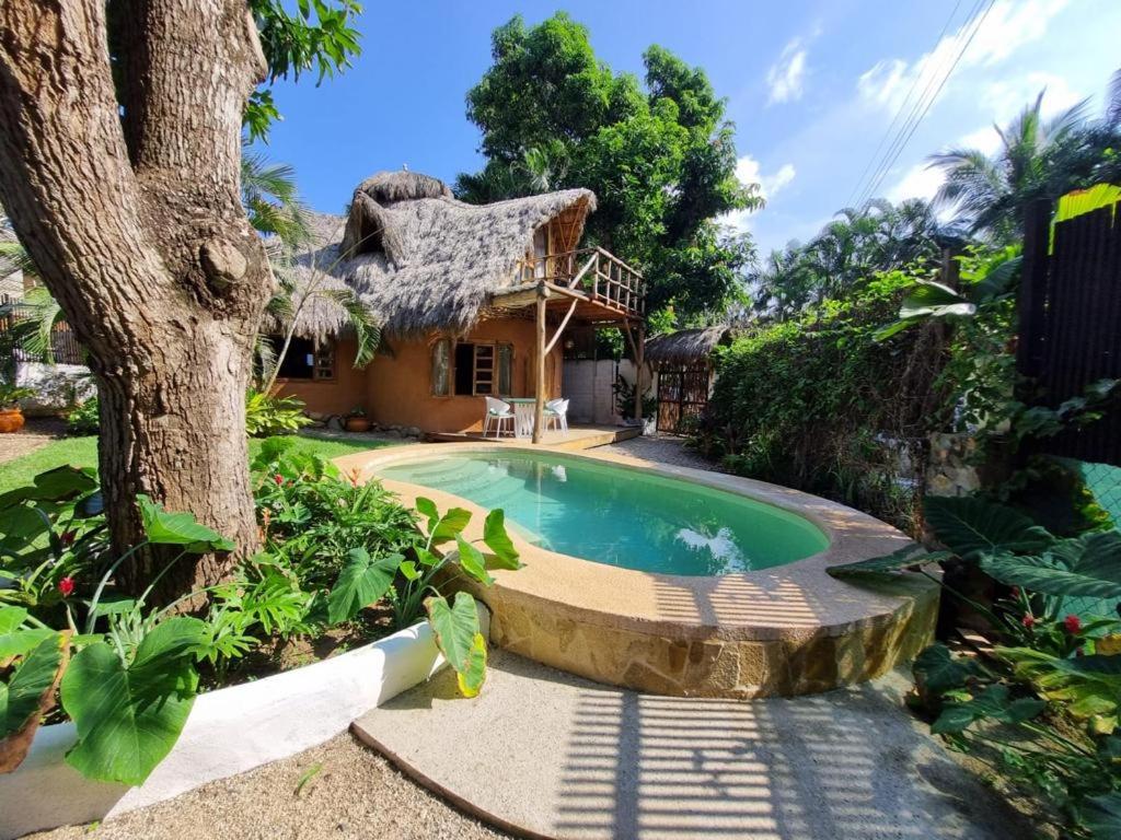 萨尤利塔El Manguito的一座带游泳池和树的房子