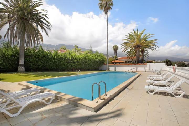 La Victoria de AcentejoHouse Experience Villa Violeta的一个带白色椅子和棕榈树的游泳池