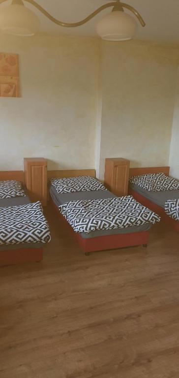 马佐夫舍地区托马舒夫Mieszkanie 6 osobowe的铺有木地板的客房内的三张床