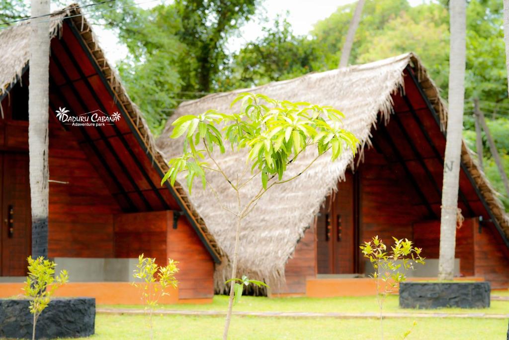 库鲁内格勒Deduru Cabana Nature Resort的茅草屋顶和树屋