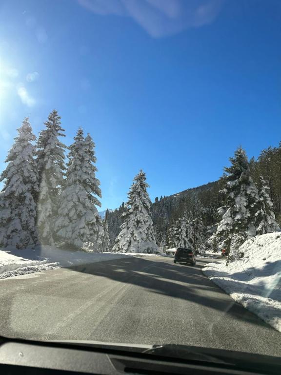 埃拉蒂特里卡隆Elati Mansion的一辆汽车沿着一条有雪覆盖的树木的道路行驶