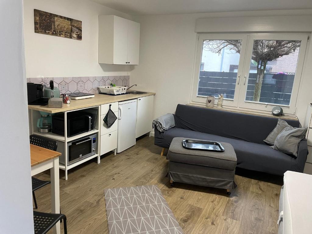 韦瑟灵Gemütliche 1-Zimmer Wohnung mit eigenem Eingang的带沙发的客厅和厨房