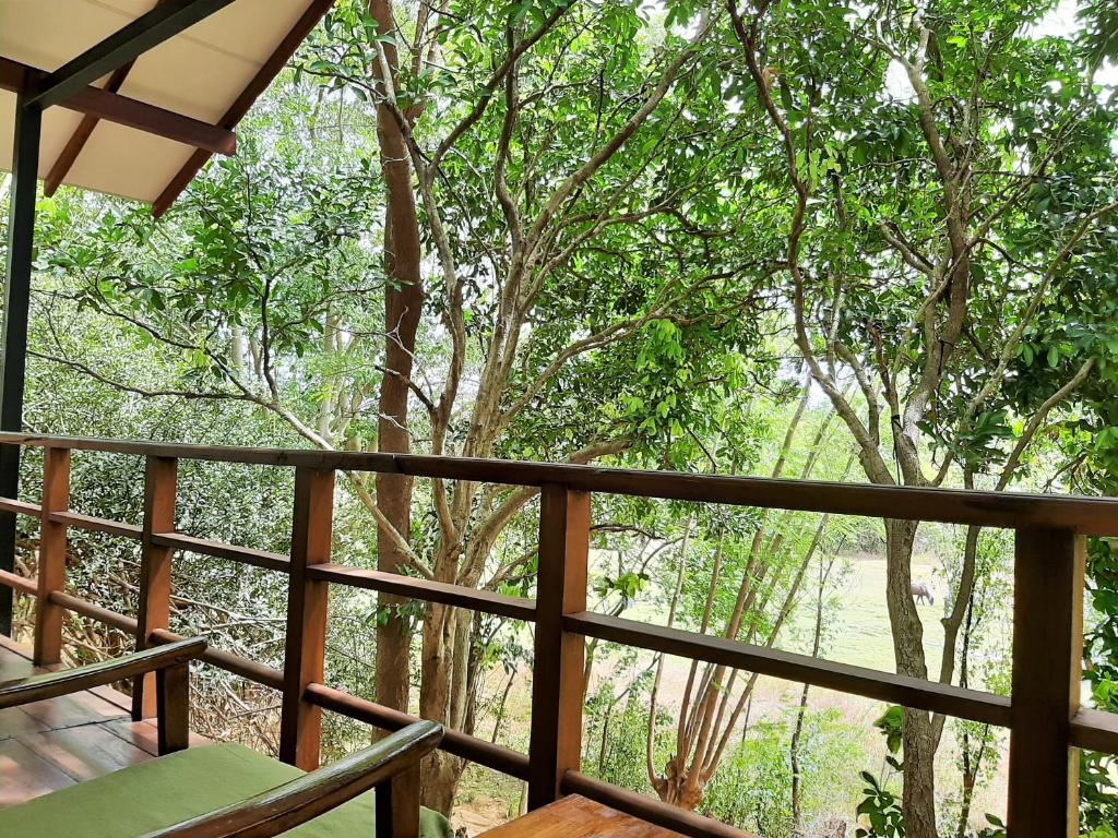 达瓦拉维Elephant Lodge的享有森林美景的阳台