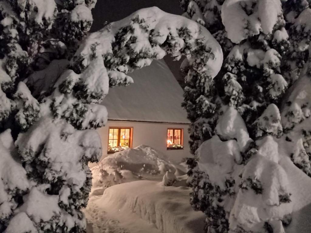 谢勒豪Ferienwohnung Ulbrich的树前的雪覆盖的房子