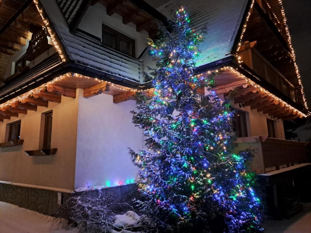 扎科帕内威拉维森卡旅馆的房子前面的圣诞树
