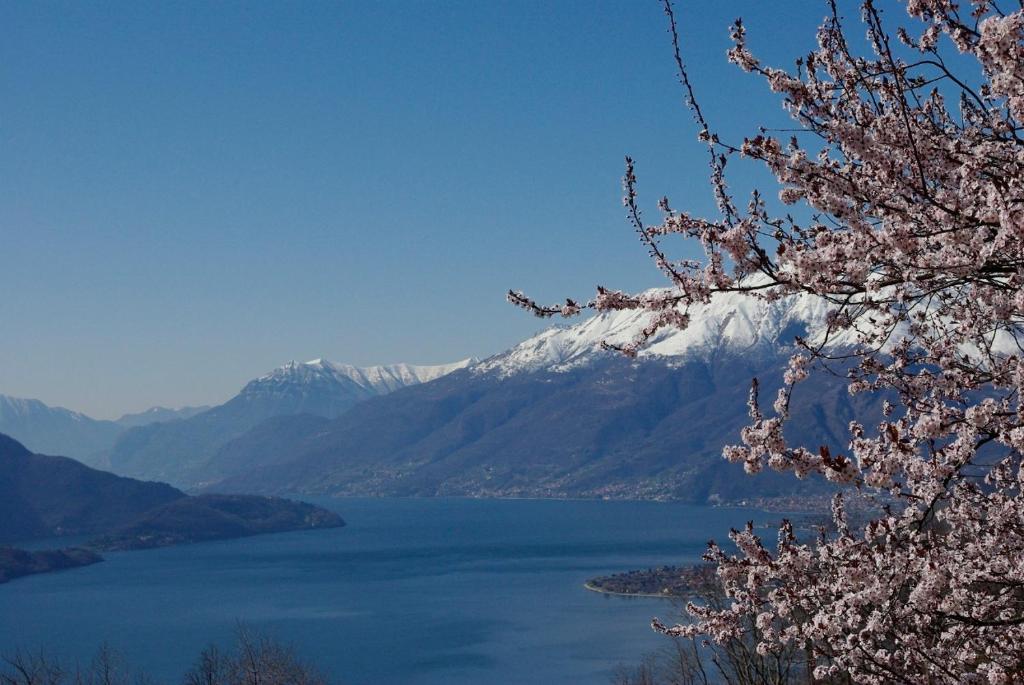 索里科塔莫拉酒店的享有带雪覆盖山脉的湖泊美景