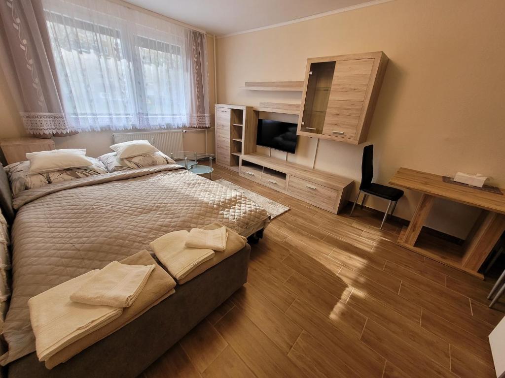 布达佩斯Mádi Rezidencia的一间卧室配有一张大床和电视