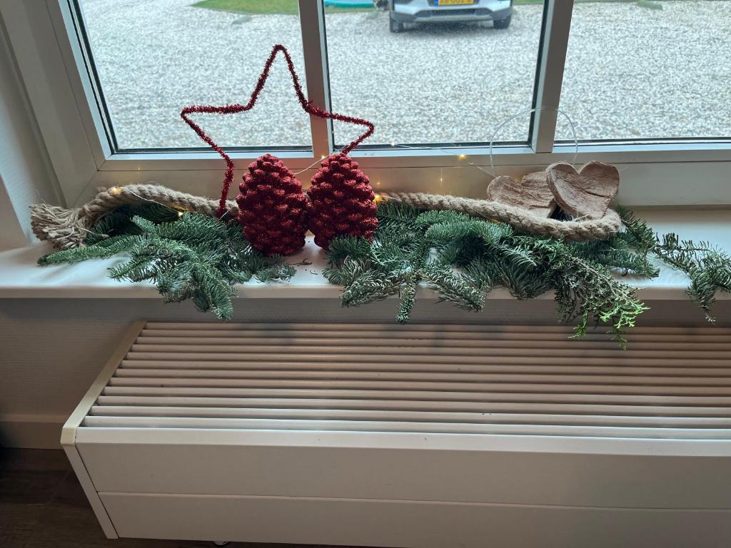 BoskoopChristinahoeve Hooiberg #6的窗台上装有圣诞装饰的窗户