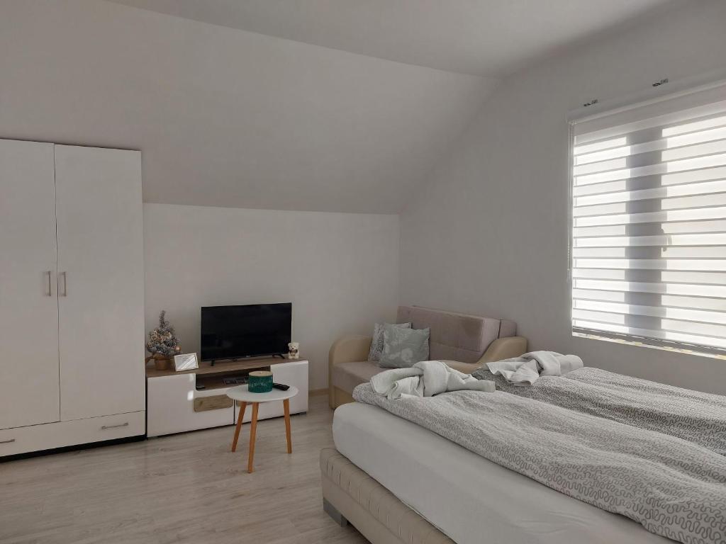 索科矿泉村Studio Andrijana Sokobanja的一间卧室配有一张床、一张沙发和一台电视