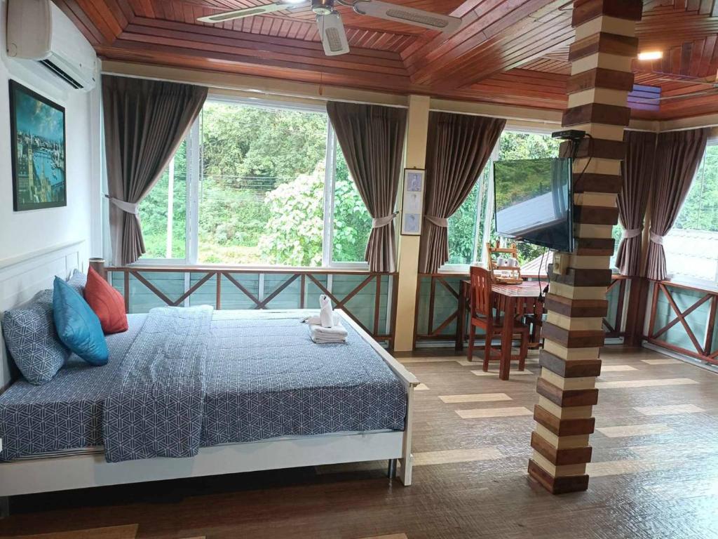 帕他仑山景旅馆的一间卧室配有一张床和一台平面电视