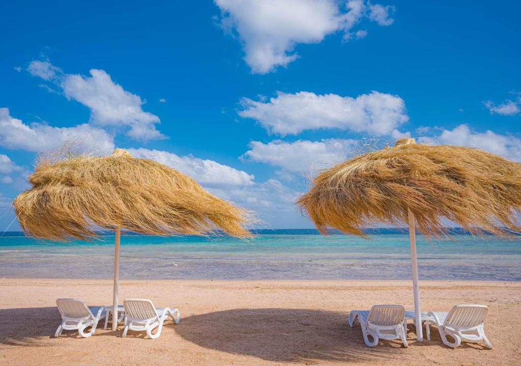 马萨阿拉姆SENTIDO Reef Oasis Suakin Resort的海滩上的一组椅子和遮阳伞