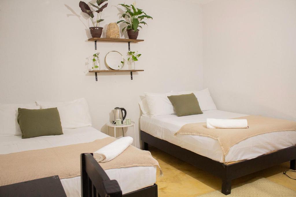 埃斯孔迪多港Casa Niita的卧室配有两张挂在墙上的植物床。