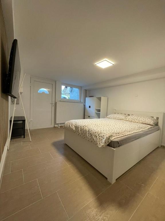 卢布尔雅那Laibach Suite的一间卧室配有一张床和一台平面电视