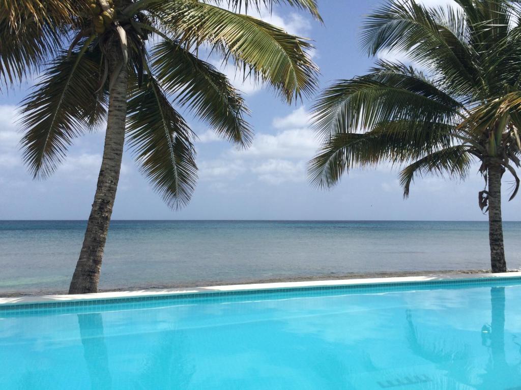 别克斯布拉沃海滩酒店的一座棕榈树和海洋游泳池