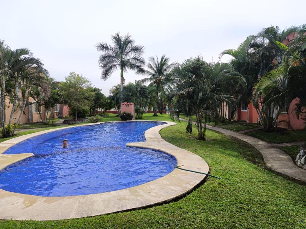 伊斯塔帕Casa el Palmar, the best house in Ixtapa的棕榈树庭院里的一个大型游泳池