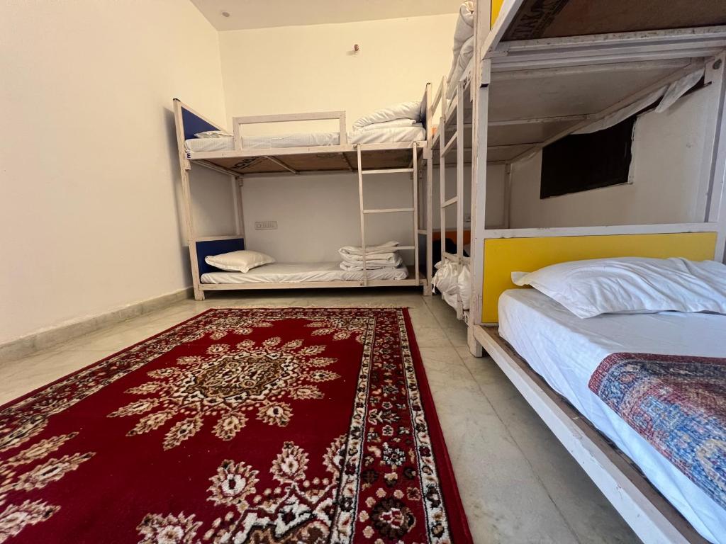 斋沙默尔Hostel Go And Stay Jaisalmer的一间卧室配有两张双层床,铺有红色地毯。