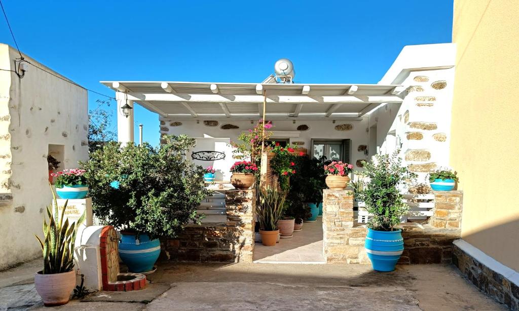 Glinado NaxosVintage House Naxos的一组盆栽植物,位于一座建筑物的内侧
