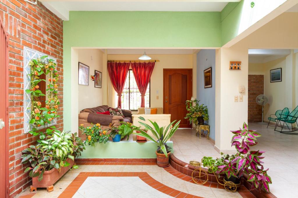 卡塔赫纳Hostal Cartagonova - Habitaciones privadas y amplias cerca a zonas turísticas的一间客厅,里面种满了盆栽植物