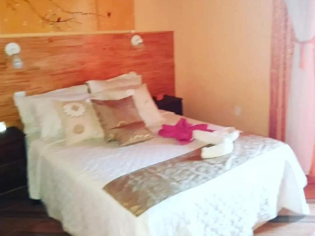 伊瓜苏港Hostel Damaris的一张白色的床,上面有粉红色的花
