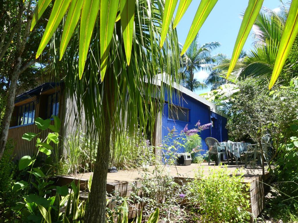 珀蒂蒂勒LE TUIT TUIT的院子里有棕榈树的蓝色房子