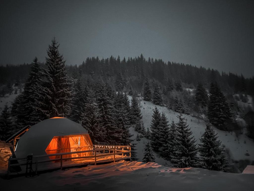 Cucu Zen Dome Cabana Cazare Bucovina的雪中树下的帐篷