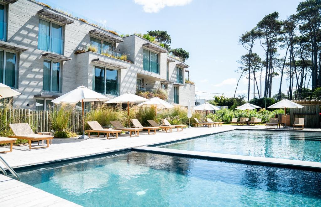 何塞伊格纳西奥Casagrande Hotel & Beach Club的一座带椅子和遮阳伞的游泳池位于一座建筑旁边
