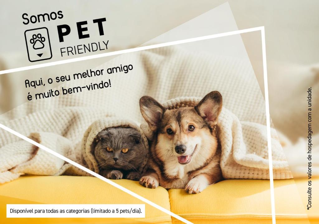 大瓦尔泽亚Slim Cuiabá Aeroporto by Slaviero Hotéis的一张沙发上两只狗和一只猫的海报