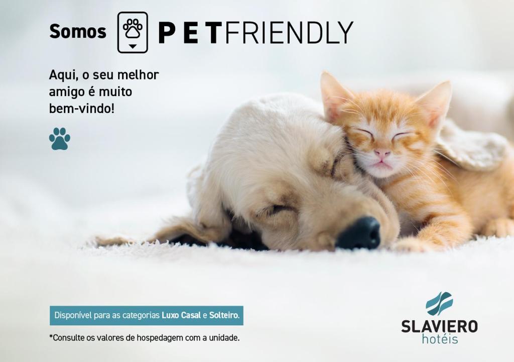 圣保罗Slaviero São Paulo Moema的一只狗和一只猫彼此相邻