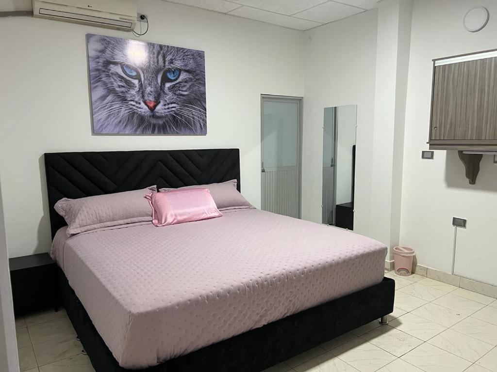 阿劳卡COOL HOUSE 24Horas的一间卧室,配有一张带猫照片的床