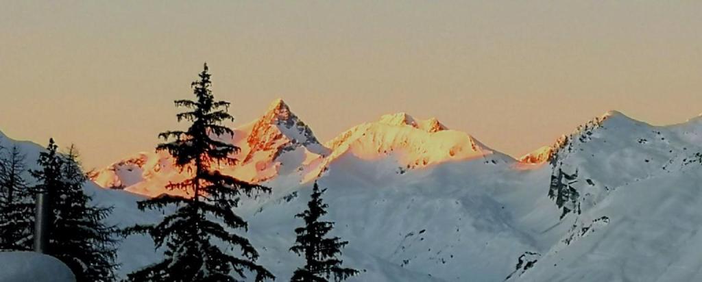 圣莫里斯堡Bourg Saint Maurice Les Arcs - maisonnette grand confort dans charmant village de montagne !的山地的雪覆盖着树木