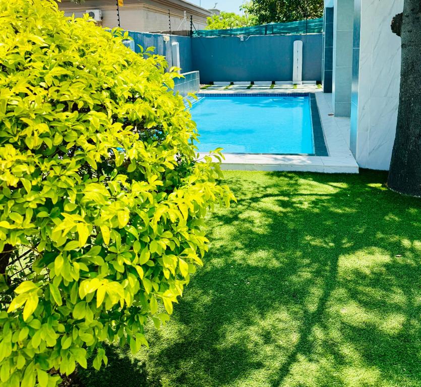 哈博罗内Monaco villa Gaborone的游泳池前的绿色灌木