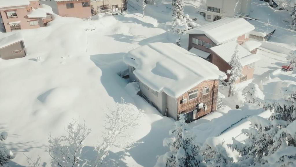 妙高The Greenhouse的一座满是树木和建筑物的雪地房子