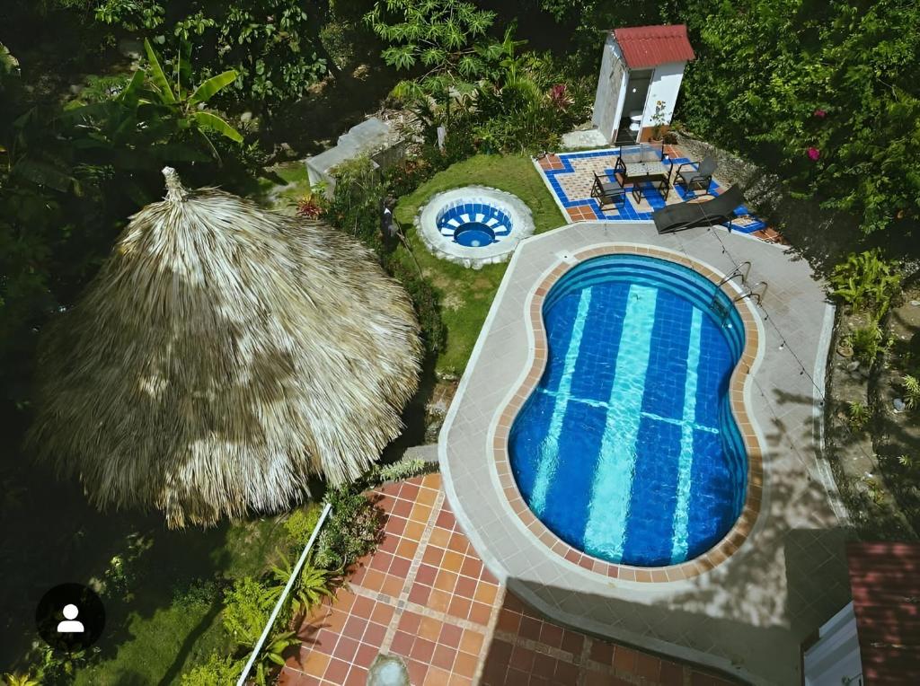 CalabazoSantuario Tayrona Hostel的茅草屋顶游泳池的顶部景色
