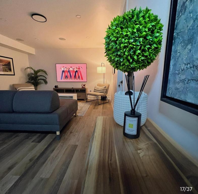 渥太华Home Advantage的带沙发和盆栽植物的客厅