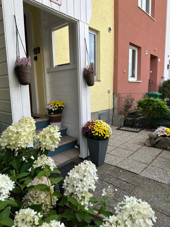 萨尔茨堡Family Home Green Paradise with Garden & free parking的几朵花在房子的台阶上