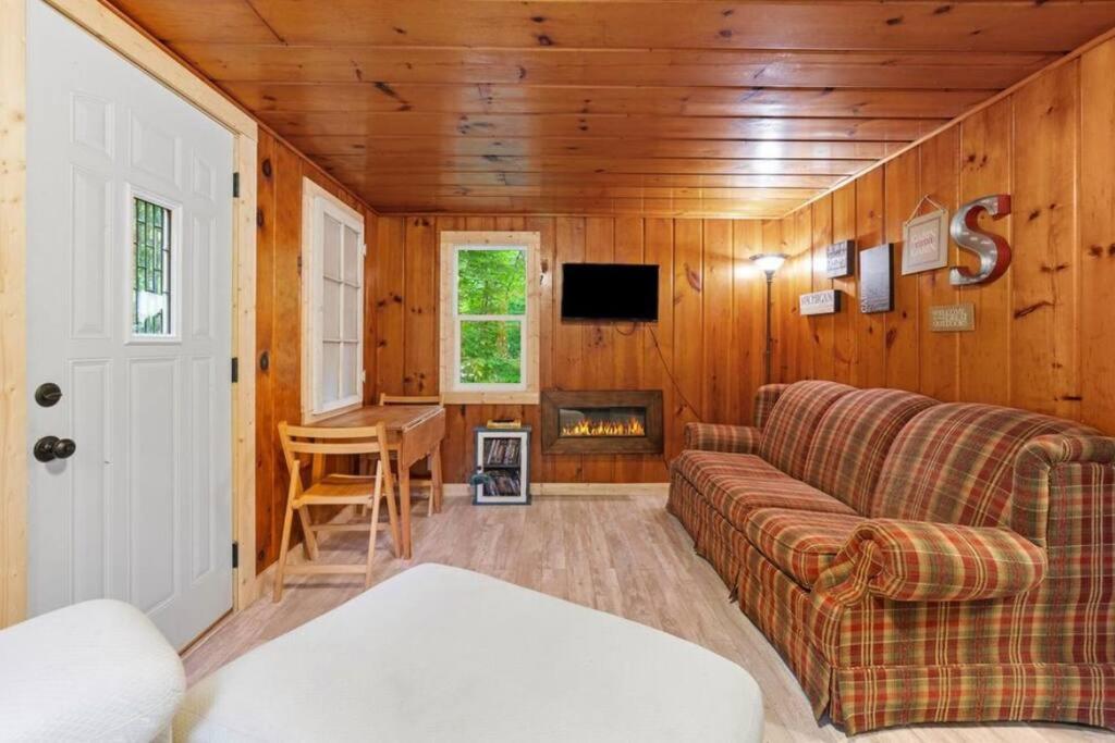 Carp LakeParadise Lake Hidden Gem的带沙发和壁炉的客厅