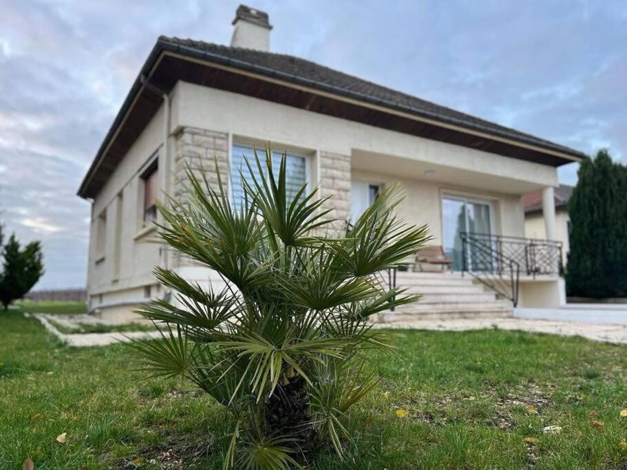 迪斯Douceur champenoise的房子前面的小棕榈树