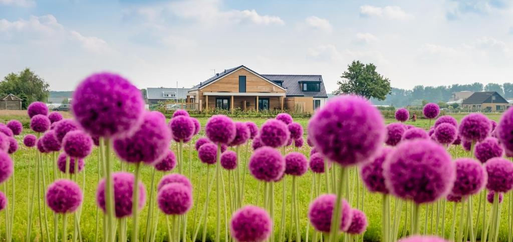 诺德韦克B&B de Cley的一座房子前面的紫色花田