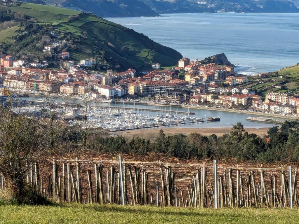 扎马亚Zumaia Basque Alai的从树木茂密的山丘上可欣赏到海港景色